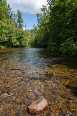Su yavaşça Abrams Creek aşağı akan. Dumanlı Dağlar Nationa