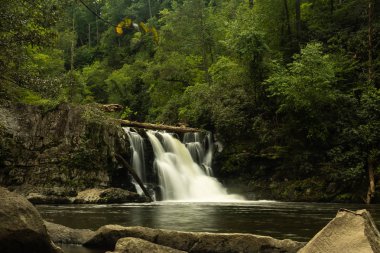 Abrams Creek şelale.