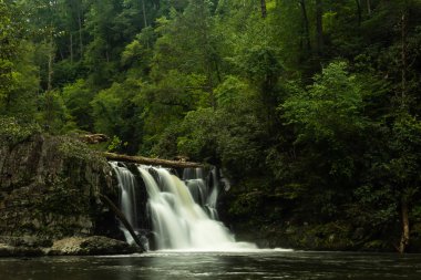 Abrams Creek şelale.
