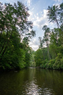 Su yavaşça Abrams Creek aşağı akan. Dumanlı Dağlar Nationa