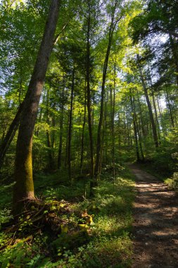 Abr içinde ve çevresinde yollar boyunca Dumanlı Dağlar manzara