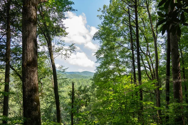 Smoky Mountains landskap längs lederna. — Stockfoto