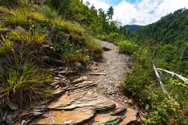 Smoky Mountains landscape along the trails.  Smoky Mountains Nat