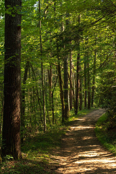 Smoky Mountains landscape along the trails in and around the Abr