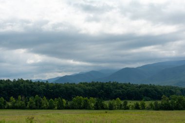 Cades Koyu'na bakıyorum. Büyük Dumanlı Dağlar Nationa