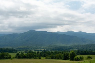 Cades Koyu'na bakıyorum. Büyük Dumanlı Dağlar Nationa