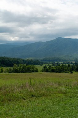 Cades Koyu'na bakıyorum. Büyük Dumanlı Dağlar Nationa