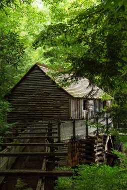 Su çarkı ve ormanda eski değirmen. Cades Koyu, Dumanlı Mounta