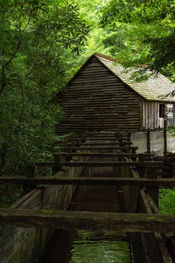 Su çarkı ve ormanda eski değirmen. Cades Koyu, Dumanlı Mounta