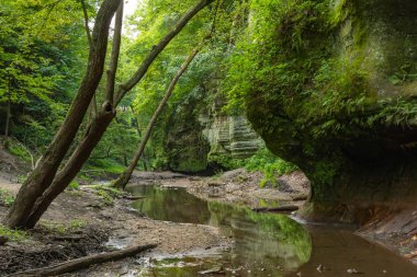 Matthiessen Eyalet Parkı, Illinois.