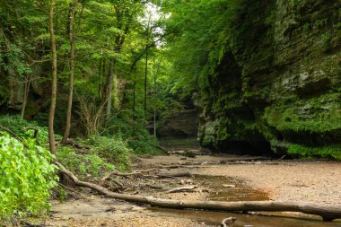 Matthiessen Eyalet Parkı, Illinois.