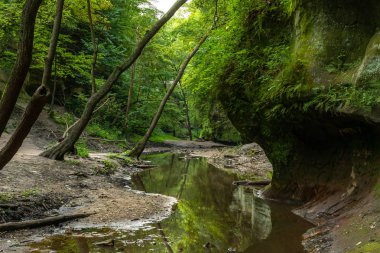 Matthiessen Eyalet Parkı, Illinois.