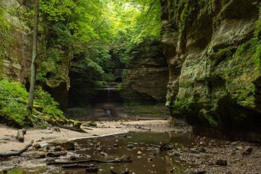 Matthiessen Eyalet Parkı, Illinois.