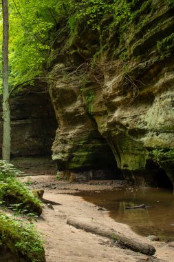 Matthiessen Eyalet Parkı, Illinois.