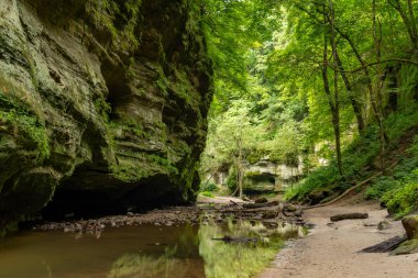 Matthiessen Eyalet Parkı, Illinois.
