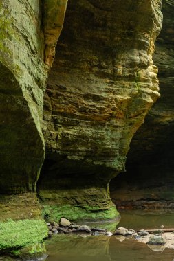 Matthiessen Eyalet Parkı, Illinois.
