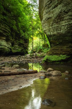 Matthiessen Eyalet Parkı, Illinois.
