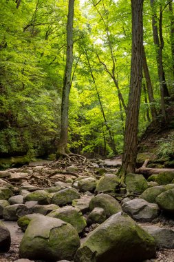 Matthiessen Eyalet Parkı, Illinois.