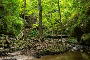 Matthiessen Eyalet Parkı, Illinois.