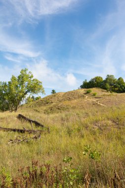 Dunes Ridge Patikası 'nın kumlu patikaları boyunca güzel bir yaz sabahı manzarası. Indiana Dunes Ulusal Parkı, Indiana, ABD