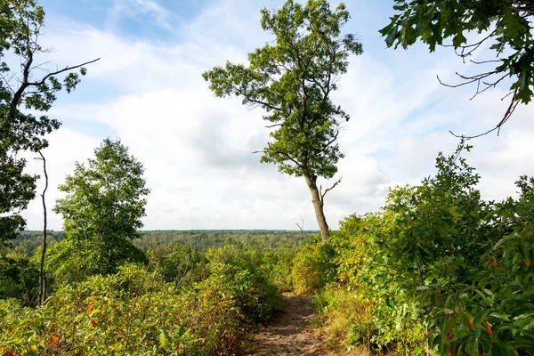 Dunes Ridge Patikası 'nın kumlu patikaları boyunca güzel bir yaz sabahı manzarası. Indiana Dunes Ulusal Parkı, Indiana, ABD