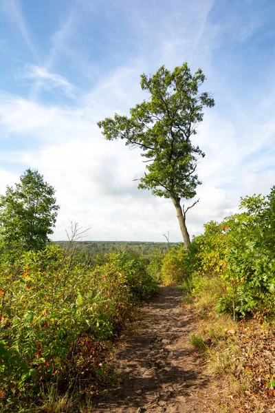 Landscape Sandy Trails Dunes Ridge Trail Beautiful Late Summer Morning — Stock Photo, Image