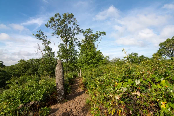 Dunes Ridge Patikası 'nın kumlu patikaları boyunca güzel bir yaz sabahı manzarası. Indiana Dunes Ulusal Parkı, Indiana, ABD