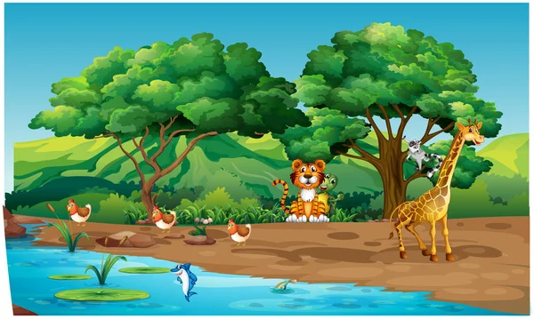 Animais Estão Brincando Margem Rio Floresta —  Vetores de Stock
