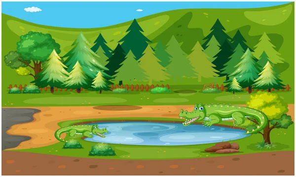 Crocodilo Estão Vivendo Uma Lagoa Floresta Ilustrações De Stock Royalty-Free