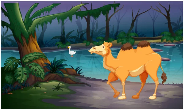 Camel Coming Drink Water Forest River — Stock Vector