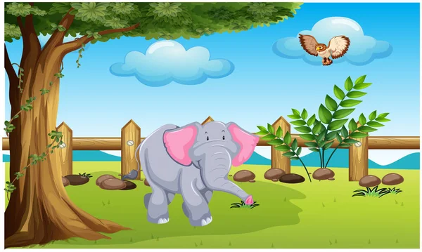 Animals Playing Park — Stock Vector