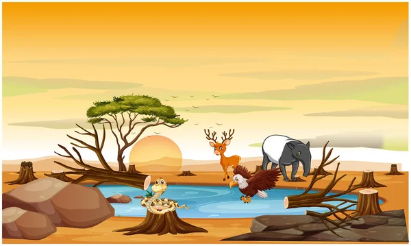 Hayvanlar çölde oynuyorlar.