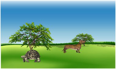 Hayvanlar bahçede yürüyorlar.