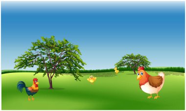 Hayvanlar bahçede oynuyor.