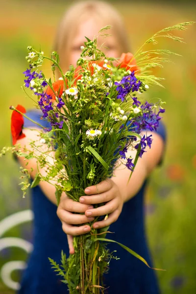 Imagen Vertical Ramo Flores Silvestres Frescas Manzanilla Amapolas Manos Una — Foto de Stock