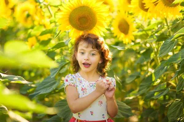 Πορτρέτο Του Ευτυχισμένη Έκπληξη Ετών Σγουρά Κορίτσι Στον Τομέα Ηλιοτρόπια — Φωτογραφία Αρχείου