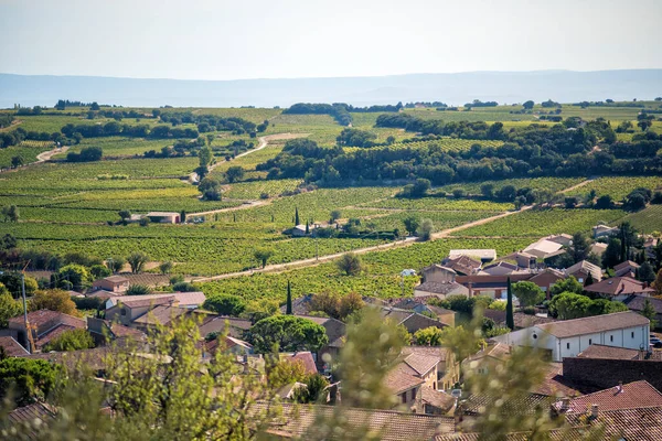 Landscape with vineyards and rural houses. View from castle of Chateauneuf du Pape on the valley. Provence, France. Travel tourism destination. Wine agriculture.