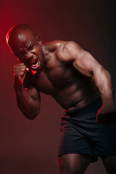 Vertikální foto Svalnatý bojovník Francouz stojící v boxerské póze a mlátící do kamery v červeném světle. — Stock fotografie