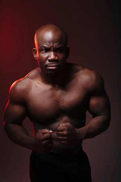 Vertical photo with red light. Muscular bodybuilder african american showing naked torso muscles and screaming.
