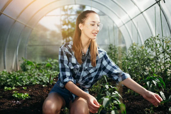 Retrato de una chica nerd con una camisa a cuadros y gafas sentadas en un invernadero sobre sus rodillas y cuidando plantas plantadas . — Foto de Stock