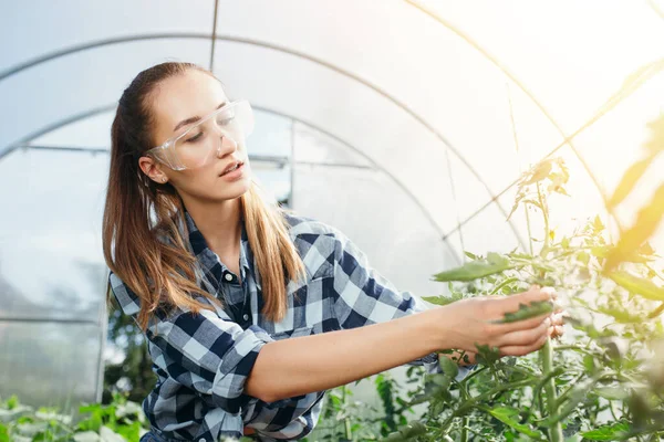 Retrato de una hermosa chica nerd que en gafas protectoras revisa las hojas de una planta para determinar el estado de salud de las plántulas en un invernadero — Foto de Stock