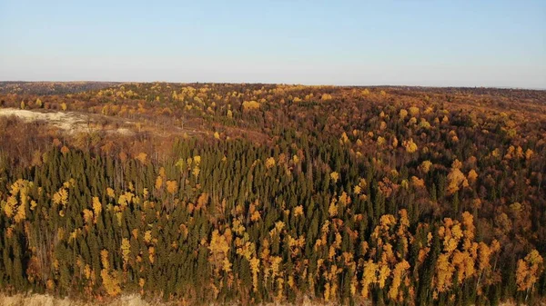 Foto uit Drona over het herfstlandschap. Meerkleurig dicht bos. Herfst variëteit kleuren concept — Stockfoto