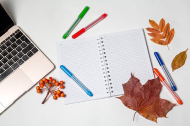 Defter, açık formda defter, çok renkli kalemler ve beyaz arkaplanda sonbahar yaprakları. İş adamı iş yeri konsepti, düz konum