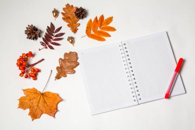 Kırmızı kalemli ve beyaz arka planda parlak sonbahar yapraklı bir defter aç. Düz konum, metin için boşluk