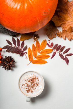 Dikey fotoğraf, düz yatış. Sonbahar yapraklı balkabağı, kozalak ve tarçınlı bir fincan kahve.