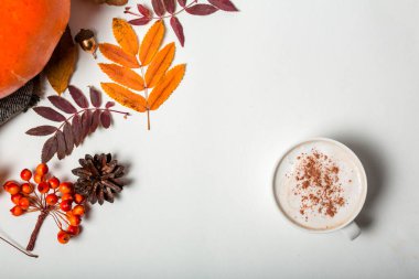 Beyaz arka planda tarçınlı sıcak bir içecek. Sonbahar kompozisyonu, düzlük ve metin için boşluk. Balkabağı ve renkli yapraklar
