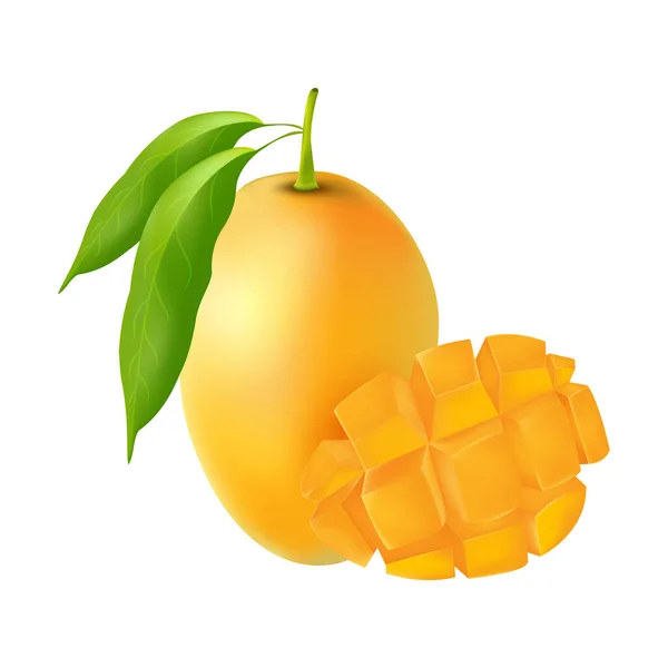 Wektorowa Realistyczna Ilustracja Dojrzałego Świeżego Mango Plastrami Liśćmi Król Owoców — Wektor stockowy