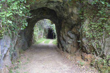 Doğadaki eski taş tünel ve yol karanlık bir mağaraya çıkıyor. Korkunç, korku, cadılar bayramı konsepti.