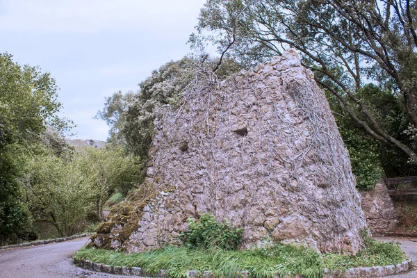 Ruínas Uma Casa Que Apenas Uma Parede Pedra Coberta Com — Fotografia de Stock