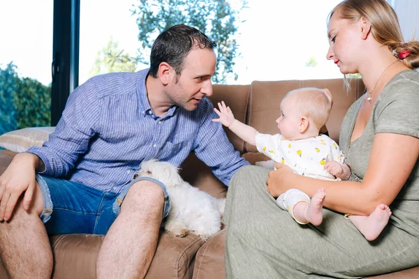 Glückliche Familie Hause Auf Dem Sofa Sitzend Das Baby Versucht — Stockfoto